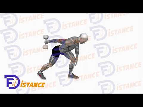 Extension arrière des triceps avec haltères - Exercice Extension arrière des triceps avec haltères en vidéo