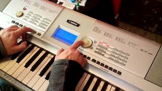 Video thumbnail for Yamaha DGX 205 by TheFourbrothersband