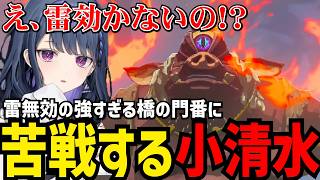 【 ゼルダの伝説 ティアーズ オブ ザ キングダム#5 】雷無効の強すぎる橋の門番に苦戦する小清水【小清水 透切り抜き】※ネタバレあり
