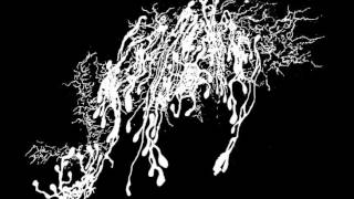 Swallowed - In The Grip Of Winter (Autopsy Cover)