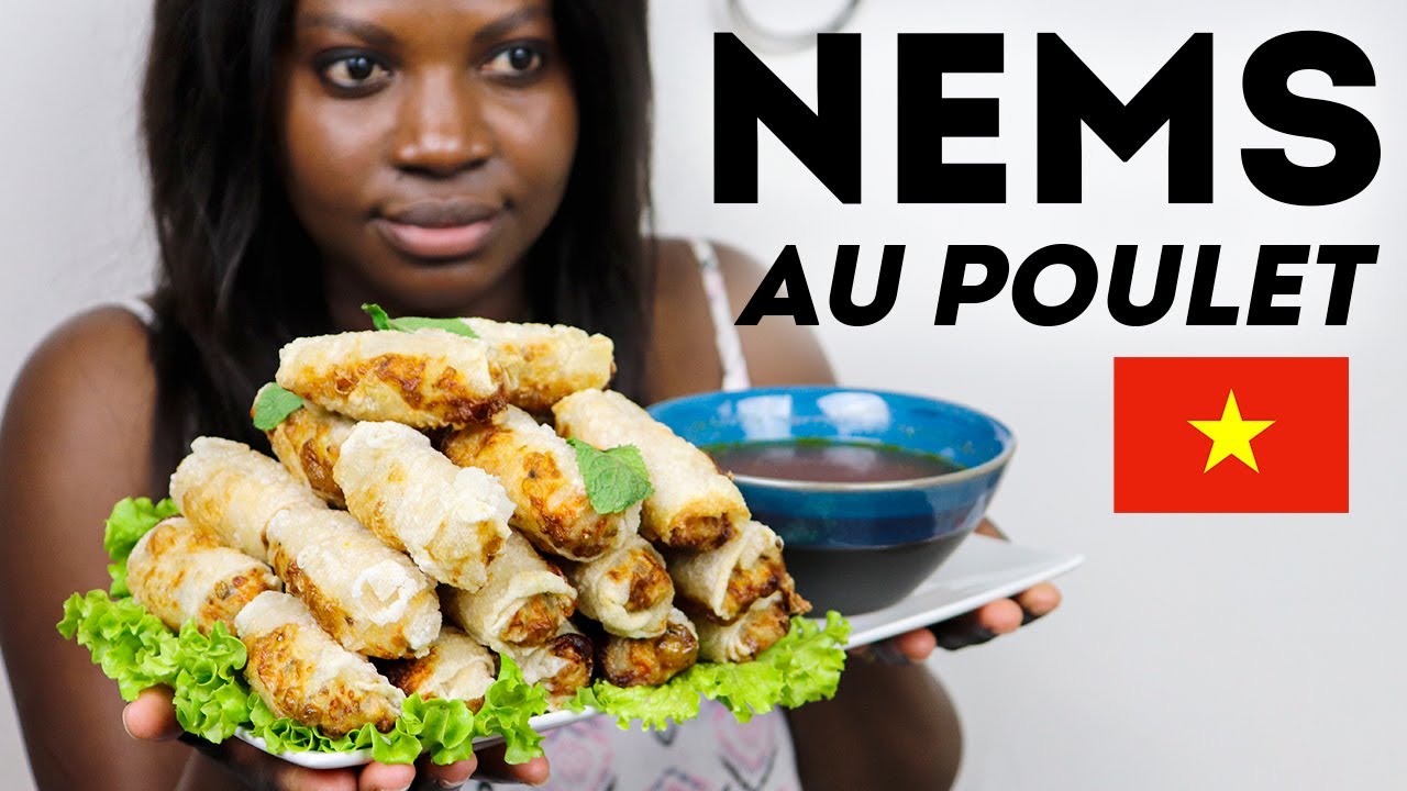 NEMS au POULET 🇻🇳