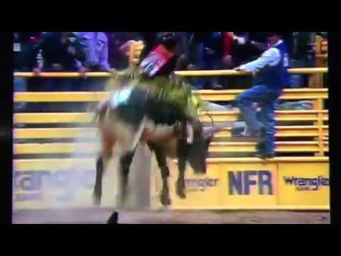 Mike White vs Skat Kat