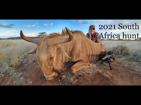 2021 Plains Game hunt Kimberley S Africa.  12 species, 10 days; Wildebeest, Gemsbok, Sable and more!