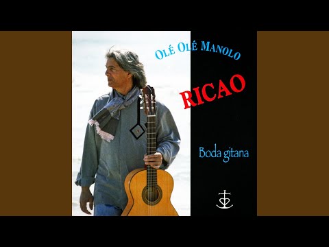 Olé Olé Manolo