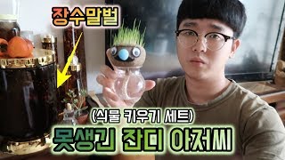 못생긴 잔디 키우기 세트 / 무서운 장수말벌 담금주?! - 버라이어티 파머