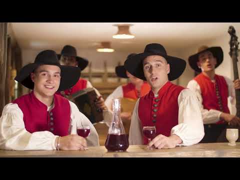 Ansambel Gašperja Kavška - Na Dolenjskem (official video 4K)