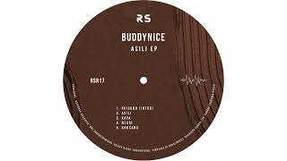 Download lagu Buddynice - Nzuri mp3