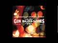 Gin Blossoms - Not Only Numb (Album Version)