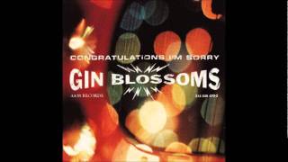Gin Blossoms - Not Only Numb (Album Version)