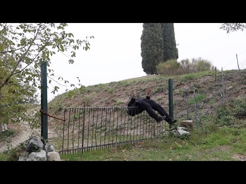 ciò che mi viene in mente quando sento la canzone di mulan