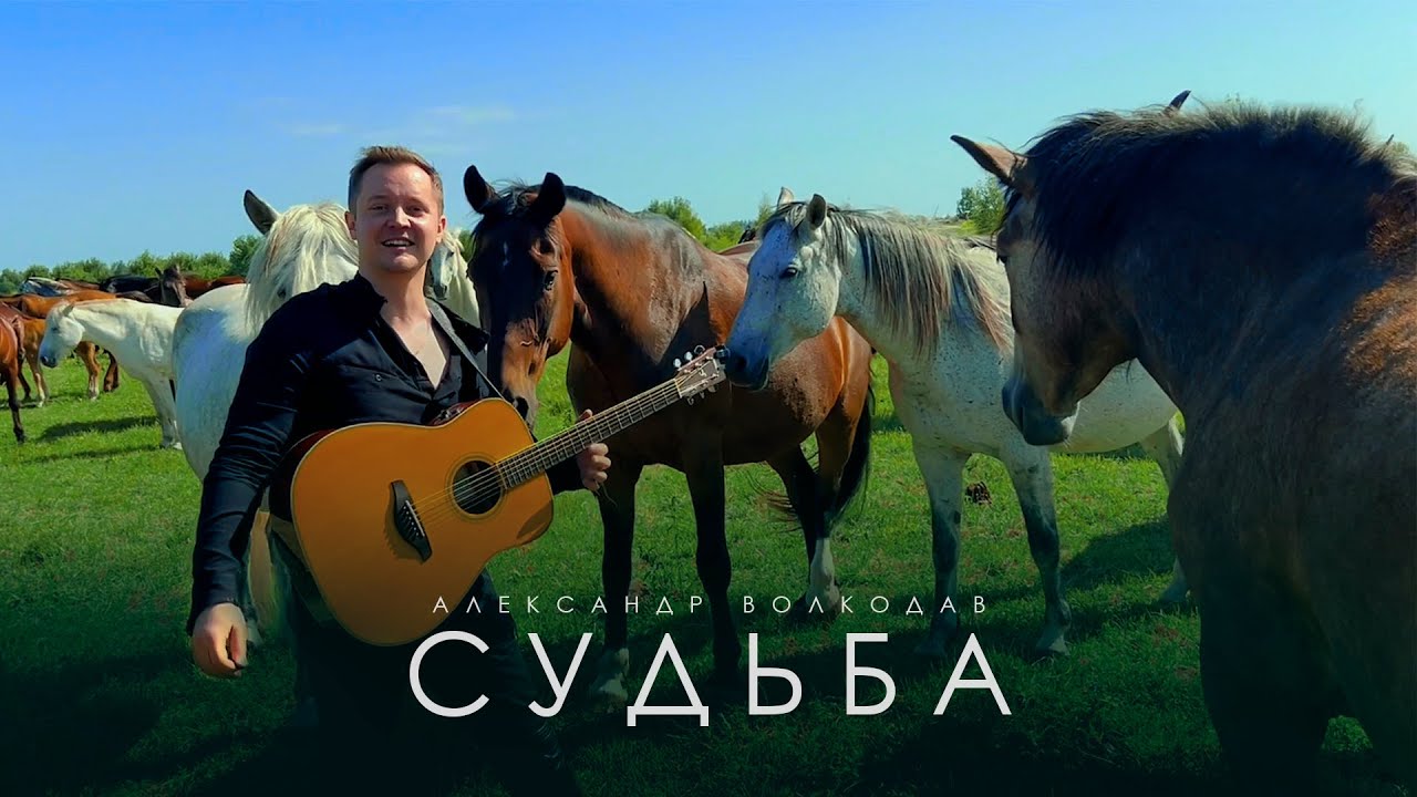 Александр Волкодав — Судьба