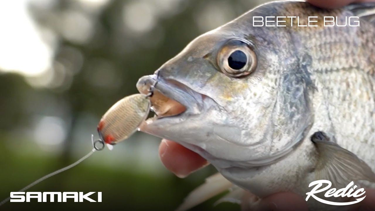 Samaki Redic SF32 Beetle Bug video thumbnail