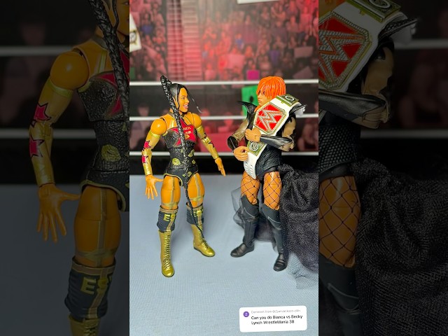 Vídeo relacionado con WWE Superstars Ultimate Fan Pack Action Figure - Sasha Banks