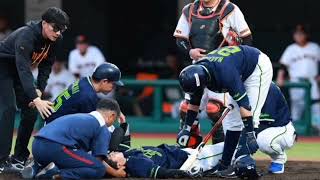 🚨⚾ヤクルトD1・松下歩叶が頭部死球で負傷交代💥巨人・西舘は危険球退場