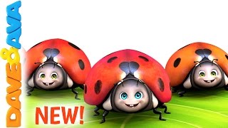 🌳 Five Little Ladybugs | New Nursery Rhyme from Dave and Ava 🌳