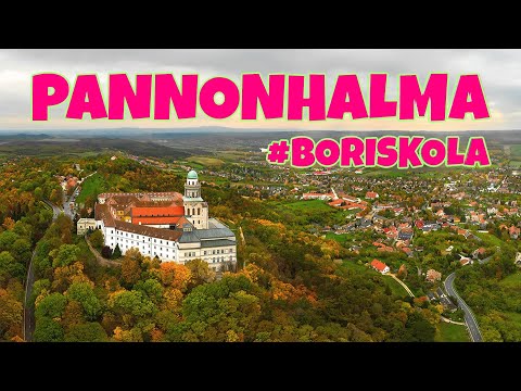 Lecsengés boriskola - Pannonhalmi borvidék