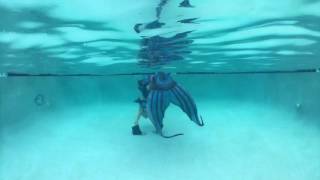@trinamason mermaid handstand