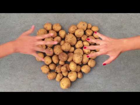 Grillmaster Flash - Pommes