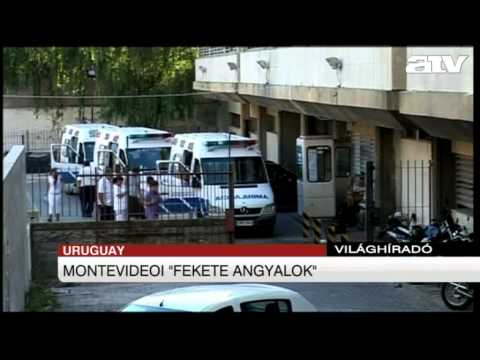 Világhíradó délben - 2012.03.19.