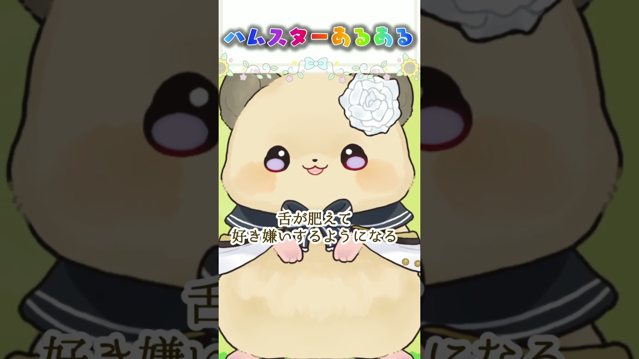 ハムスターあるある!好き嫌い編なのです！ #ハム小話 #ハムスターVTuber #癒しショート #毎日投稿 #shorts