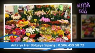 Çiçek Siparişi Antalya  - 0506 459 5872 -  Açelya Çiçek