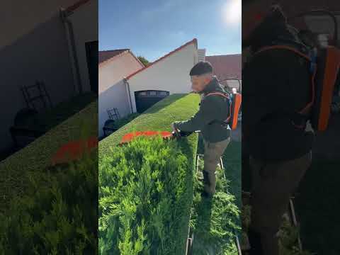 Hedge trimmer ⚔️ #garden #landscape #funnyvideo #satisfyingvideo #gardendesign #shortvideo