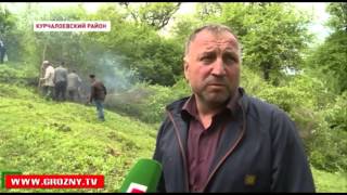 В Курчалоевском районе по поручению главы региона состоялся масштабный субботник