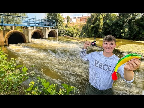 245 CM Wels lauert hinter Kläranlage - ich fange ihn! Topwater Eskalation