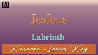 Jealous - Karaoke (Labrinth | Lower Key | Bb)