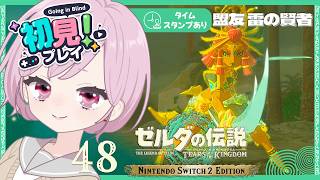 ゲルド壁画の謎を解いて雷の神殿へ⚡ルージュさんを呼ぶ声主に会いたい九州の蛮族｜シリーズ完全初見【ゼルダの伝説 ティアーズ オブ ザ キングダム｜ティアキン｜TotK】#48