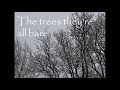 Chris Foster: The trees they're all bare