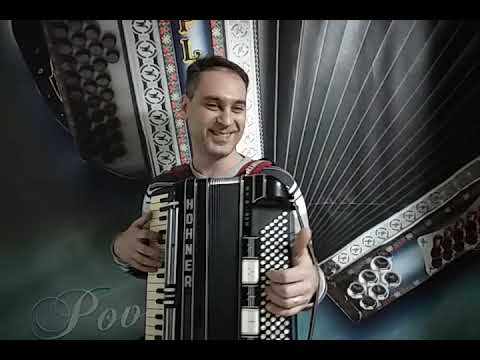 ANDREJ TOPLISEK - HOHNER MORINO VM - PLAZNIK STIMA