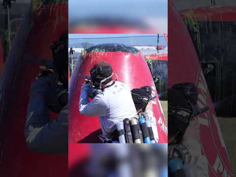 Pro paintball team RC Seadogs!