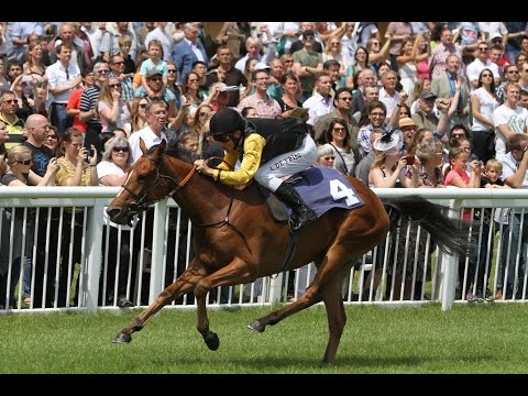 Baden-Baden: Richard Kaselowsky Memorial (Badener Jugendpreis) (D) - Siegerin: Banana Split