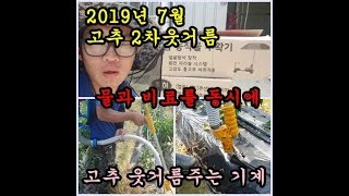 농기계 고추농사 수동비료살포기와 고추비료투입기 뻐꾸기로 고추 7월달 2차웃거름을 하였습니다 Pepper fa…