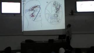 13) Dr.Ahmed Galal 2/11/2014 [ the Orbit ]