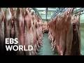 ENG SUB The Single Cut Determining Pork Quality A Butcher S Skill PICKDOCU
