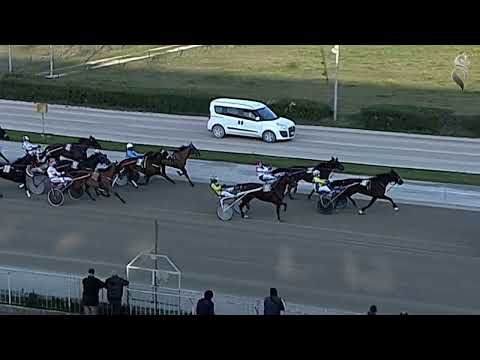 Aversa trotto 9 Marzo 2022 - 5° Corsa