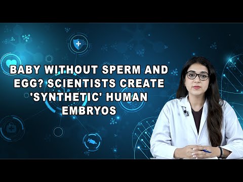 Baby without sperm and egg? Scientists create 'synthetic' human embryos