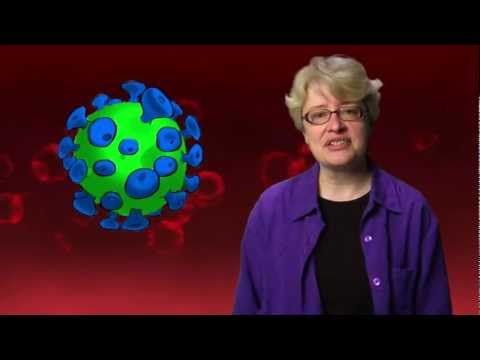 Why is HIV So Hard to Kill? - Instant Egghead #10