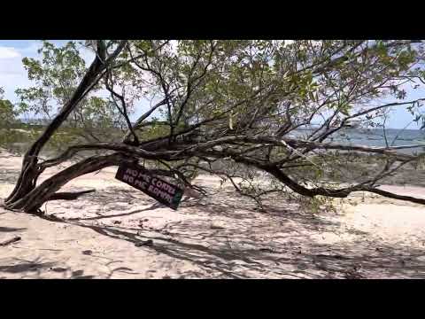 Visit Rita & Sonny Beach Units Playa Callejones CR Real Pura Vida Experience ON the Beach🏖🇨🇷