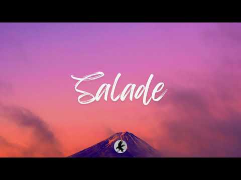 Ninho X Hamza Type Beat - "SALADE" (Instru Rap 2025)