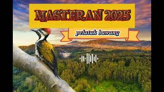 Download lagu Masteran Burung Pelatuk Bawang Speed Rapat panjang | Suara Pelatuk Bawang Gacor mp3
