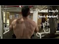How To Build Muscle Naturally [Back Workout]