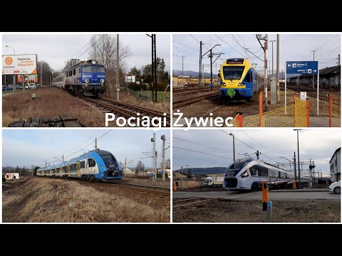 Pociągi Żywiec