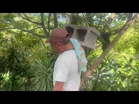 Asi avanza la construcción de la iglesia adventista el paraiso en caserio Los Majanos