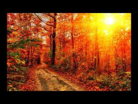 Brahms - Clarinet Quintet / S. Meyer, Wiener Streichsextett