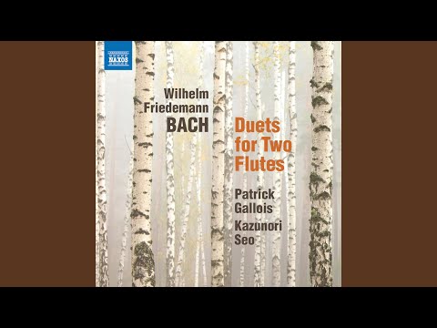 Duet for 2 Flutes in G Major, F. 59: I. Allegro ma non troppo