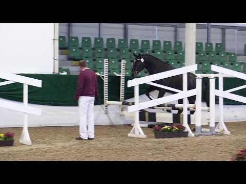 Kannan - Casall *2015