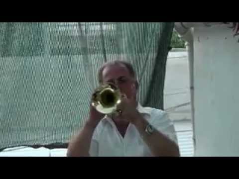 camdibi bandosu ercance